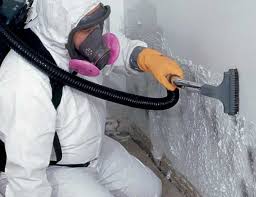 Best Black Mold Removal  in Hughesville, PA